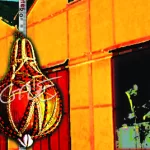 Cidade do meu olhar – 2003