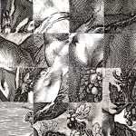 eletrofotog AQTQA 10